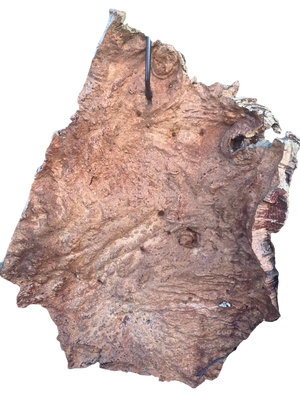 Virgin Cork Bark 1kg