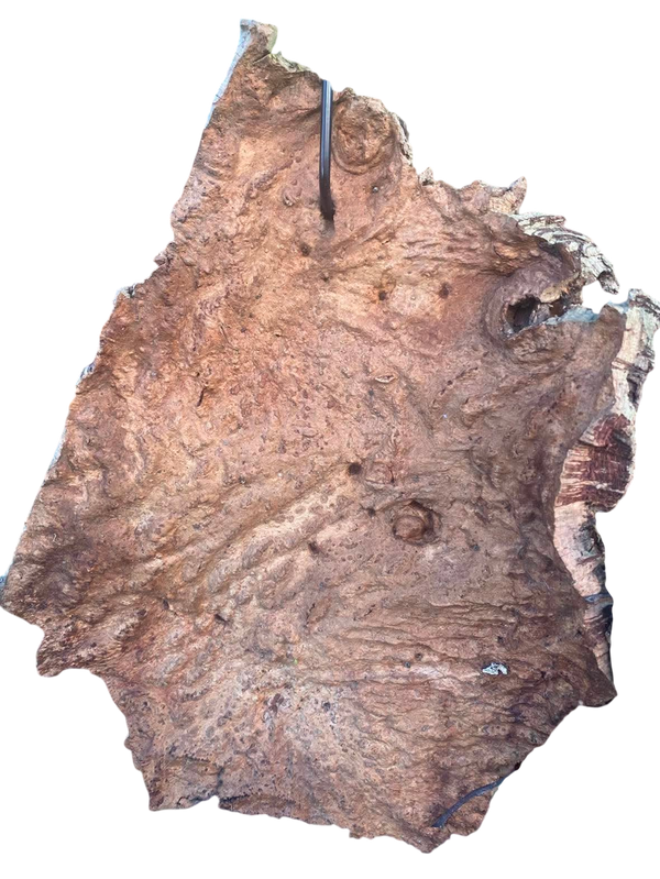 Virgin Cork Bark 1kg
