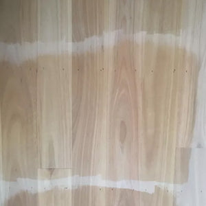 Aqua Gold Prime Sealer 5L